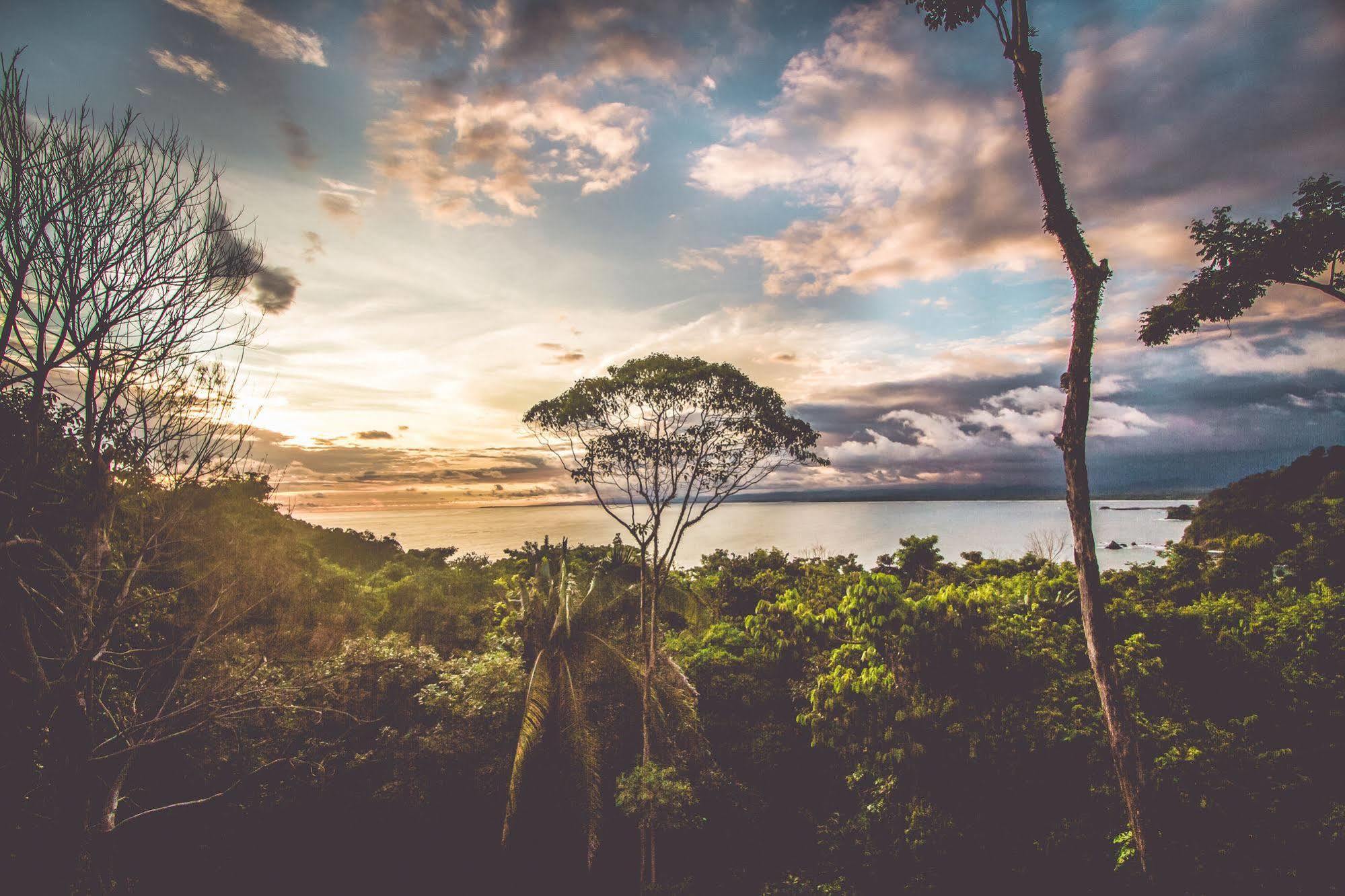 Issimo Suites Boutique Hotel & Spa - Adults Only Manuel Antonio Exteriér fotografie